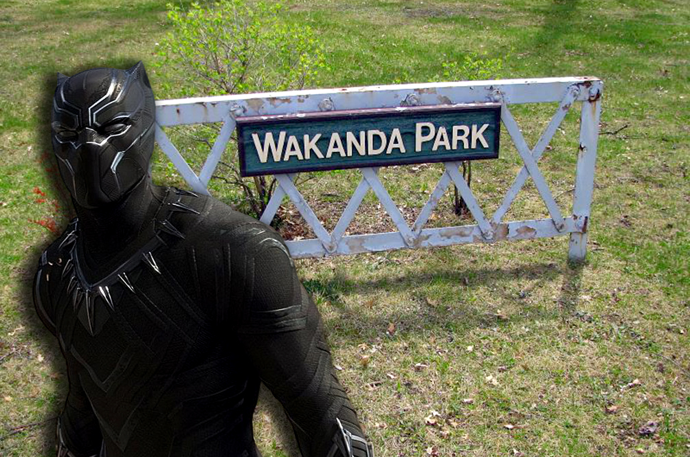 Wakanda Park Is A Real Place, And People Are Flocking There | Lifestyle ...